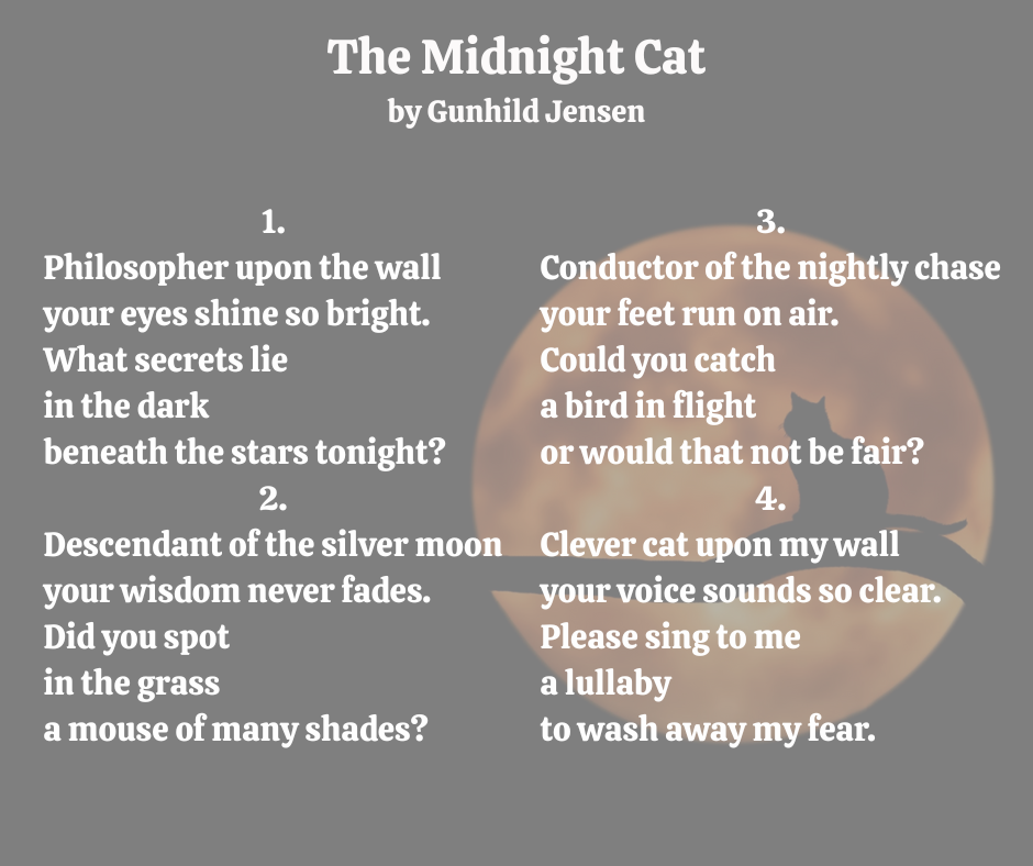 The Midnight Cat